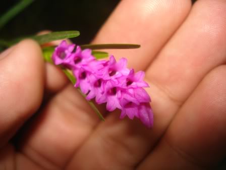 DSC09975.jpg