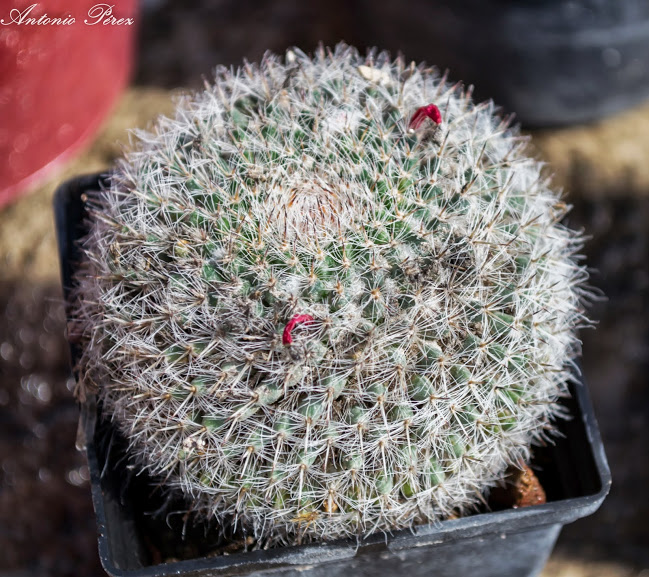 DSC_0001.jpg