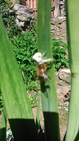 DSC_0001.jpg