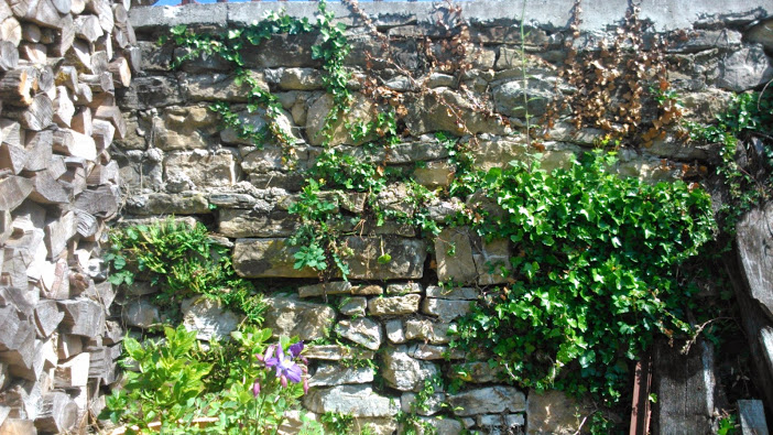 DSC_0002.jpg