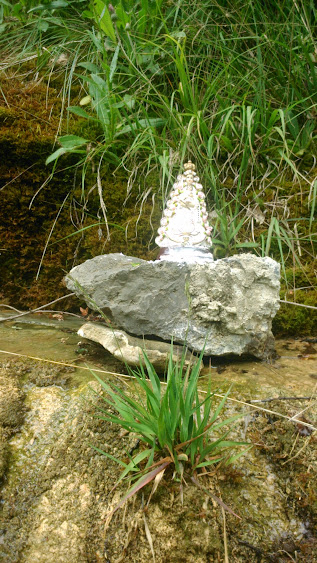 DSC_0003.jpg