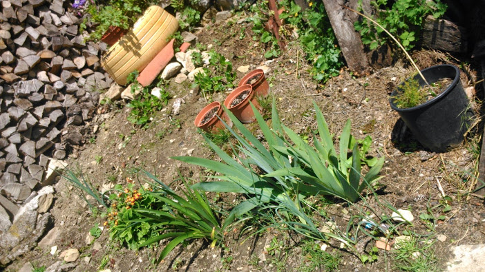 DSC_0004.jpg