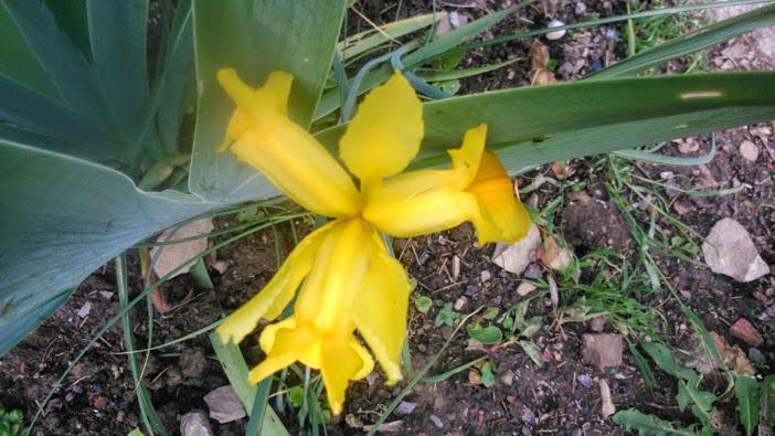 DSC_0004.jpg
