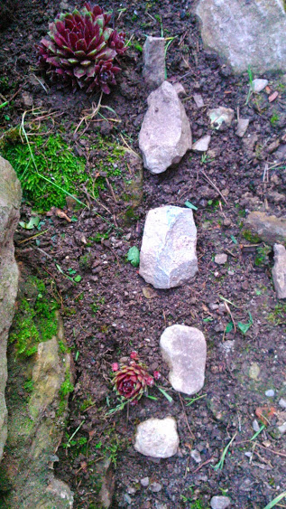 DSC_0005.jpg