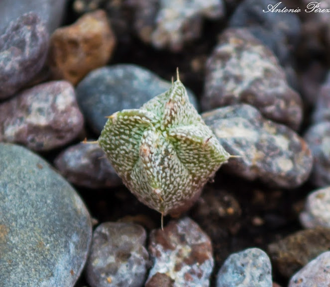 DSC_0006-4.jpg