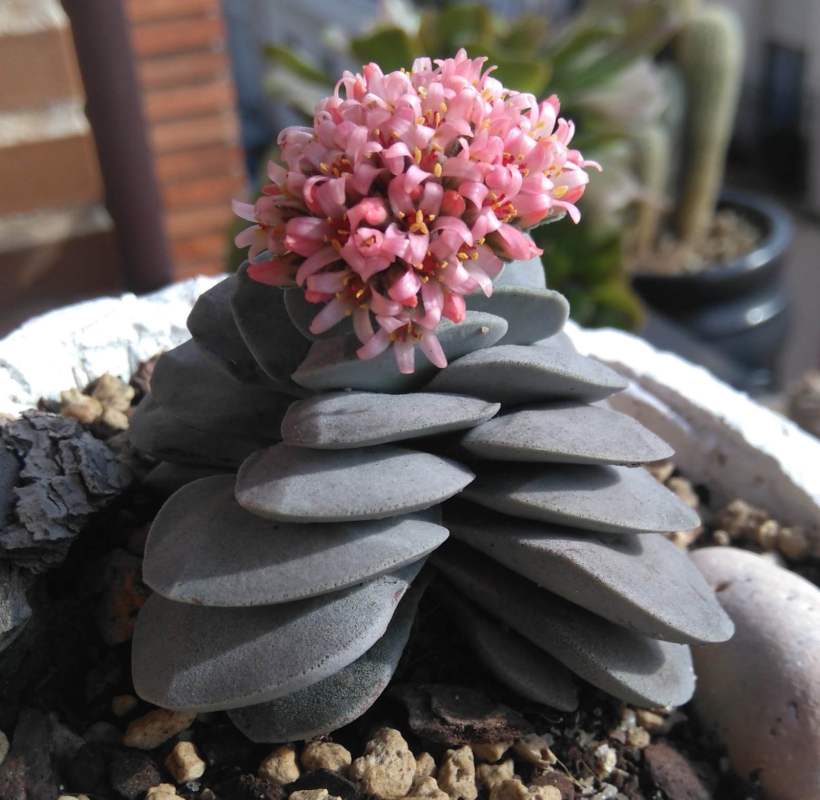DSC_0012.JPG