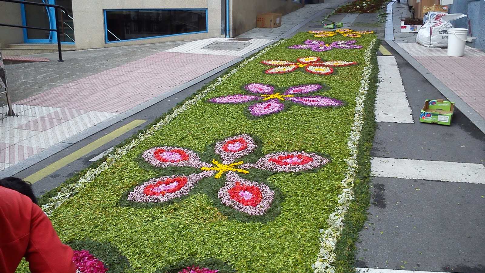 DSC_0016.jpg