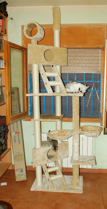 DSC_0018.JPG