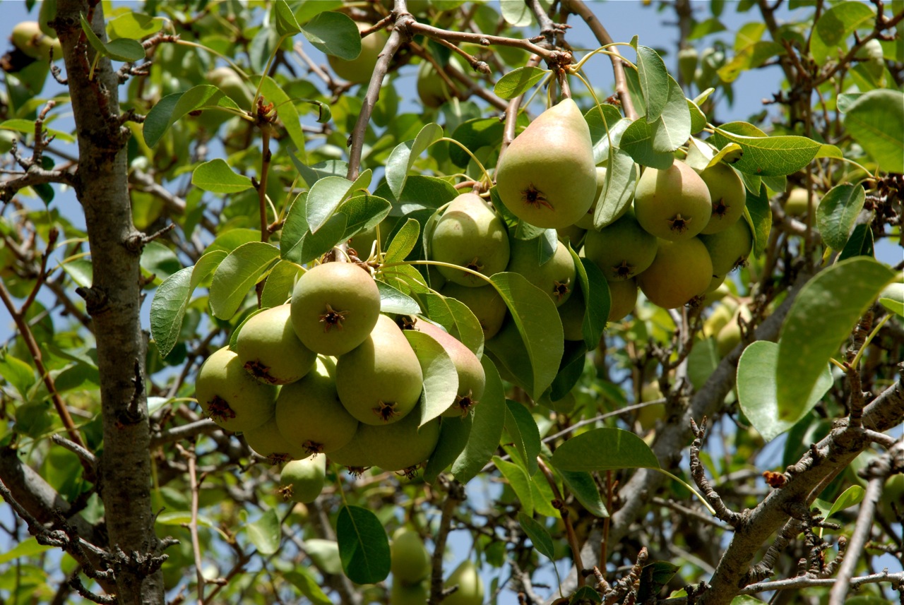 DSC_0019.jpg