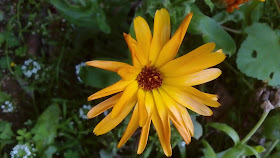 DSC_0021.JPG