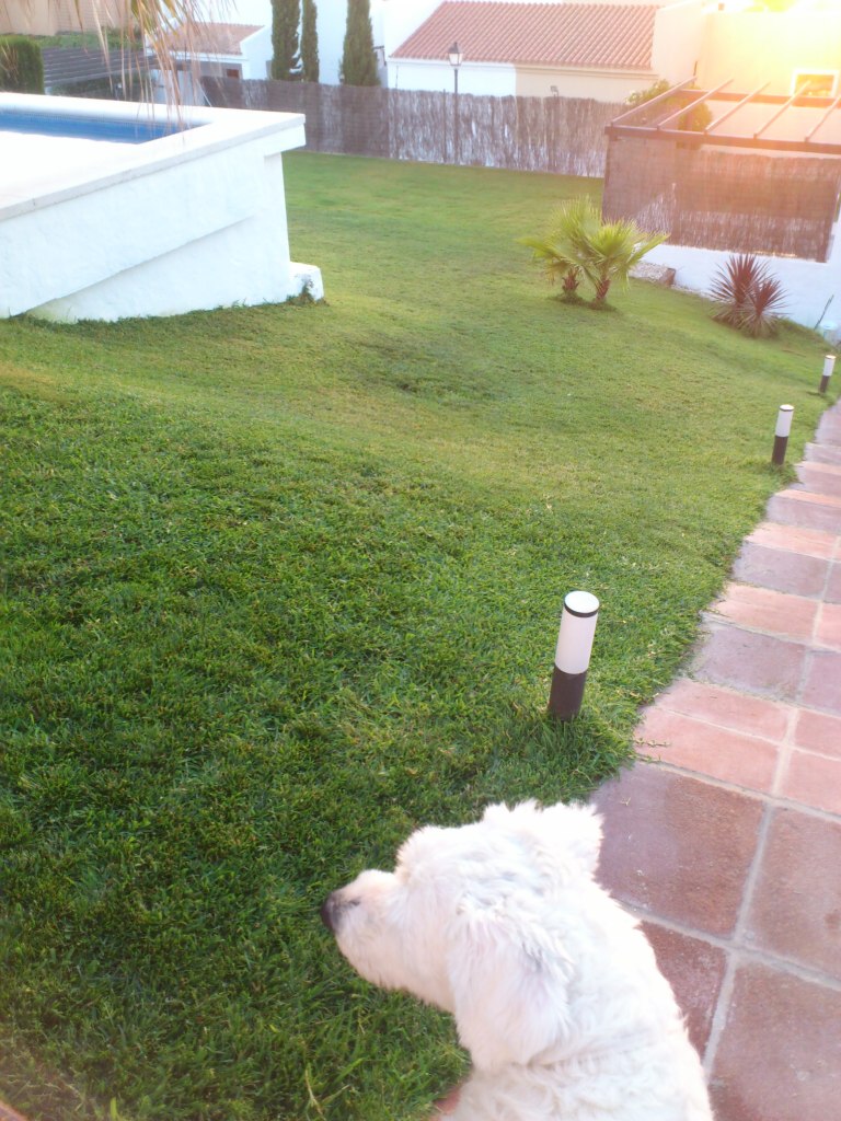 DSC_0023.jpg