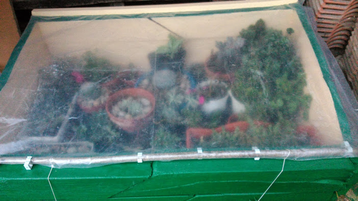 DSC_0023.jpg