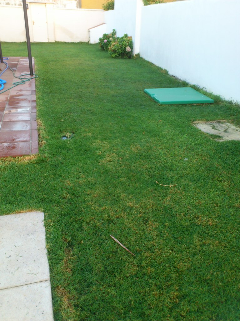 DSC_0026.jpg
