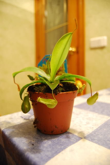 DSC_00260026.jpg