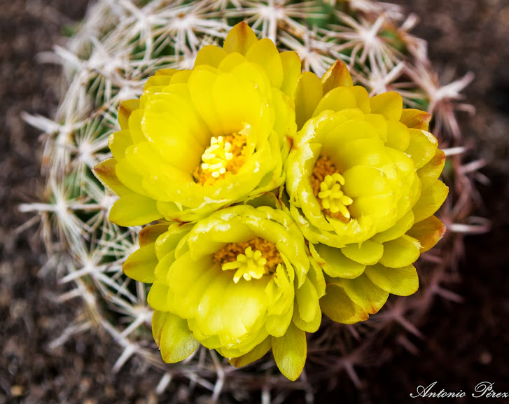 DSC_0031-4.jpg