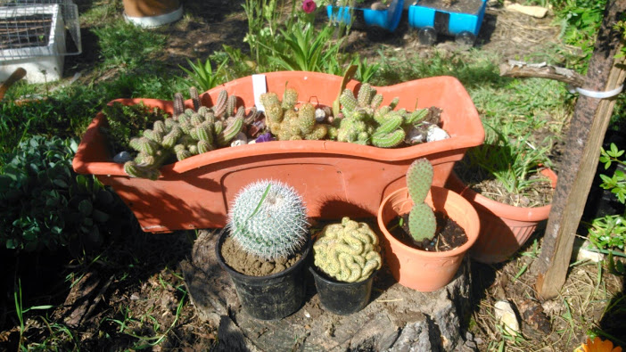 DSC_0031.jpg