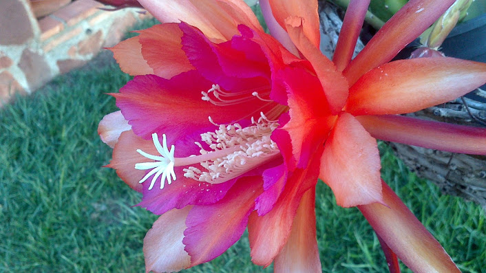 DSC_0032.jpg