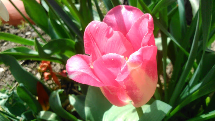 DSC_0032.jpg