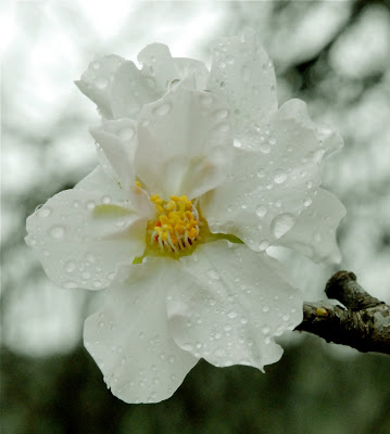 DSC_0036.jpg