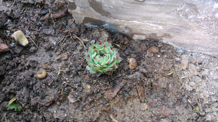 DSC_0044.jpg