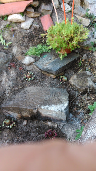 DSC_0046.jpg