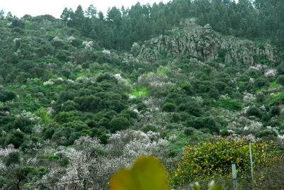 DSC_0054.jpg