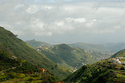 DSC_0065.jpg