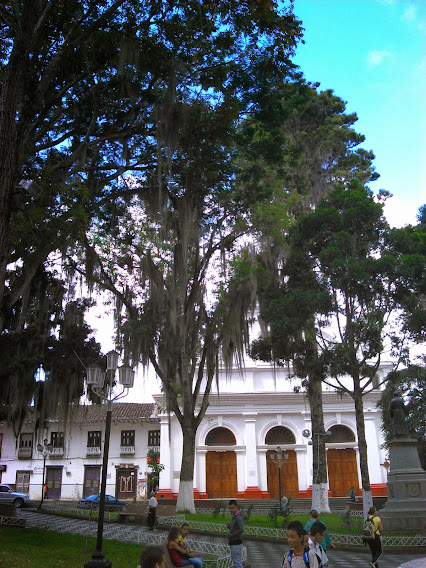 DSC_0065.jpg