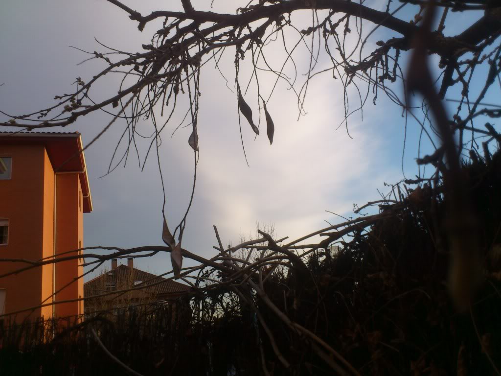 DSC_0088.jpg