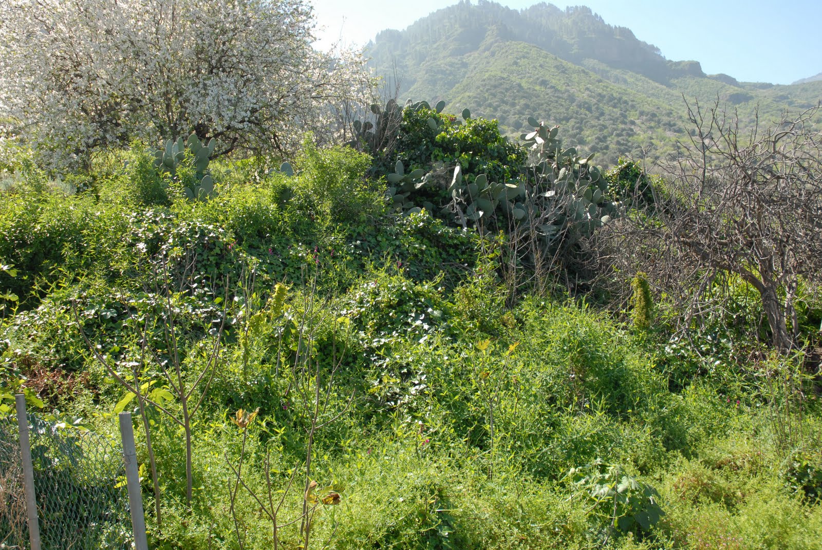 DSC_0091.jpg