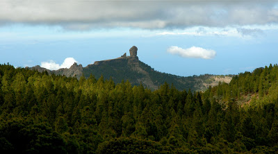 DSC_0093.jpg