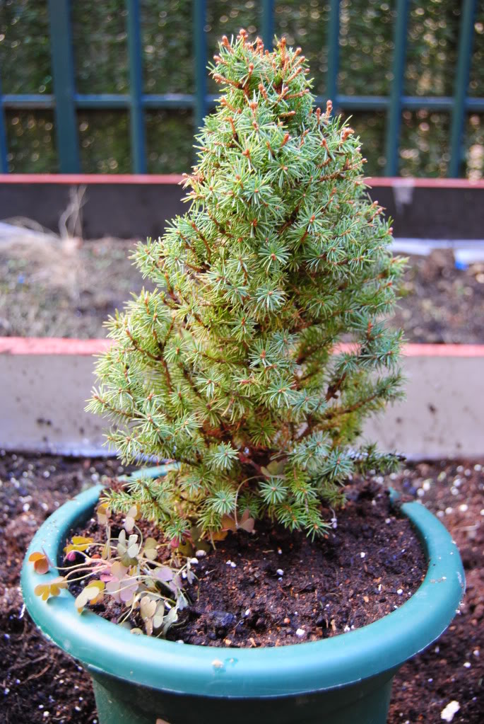 DSC_0097.jpg