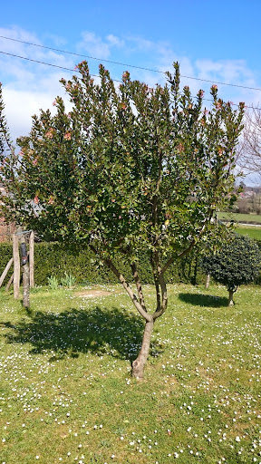 DSC_0098.JPG