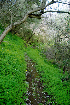 DSC_0103.jpg