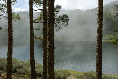 DSC_0107.jpg