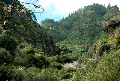 DSC_0109.jpg
