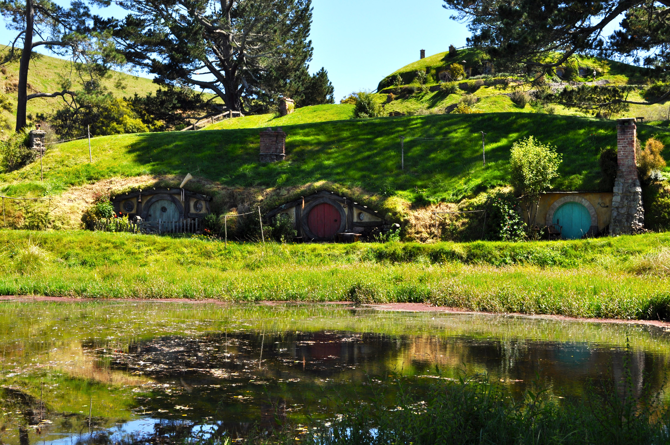 DSC_0117.jpg