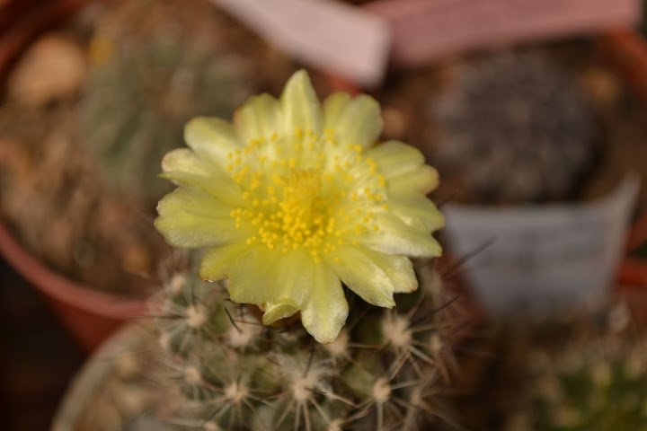DSC_0159.JPG