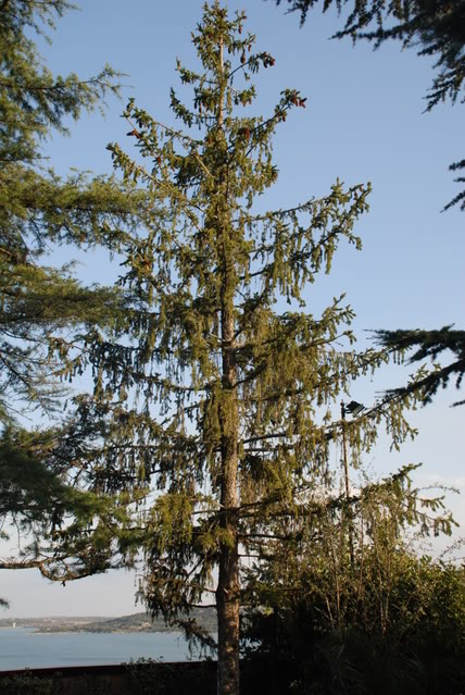 DSC_0160.jpg