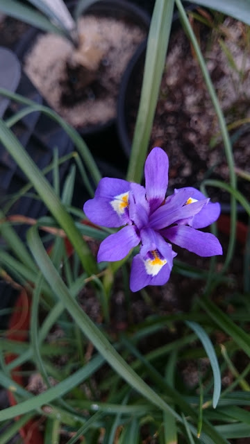 DSC_0264.JPG