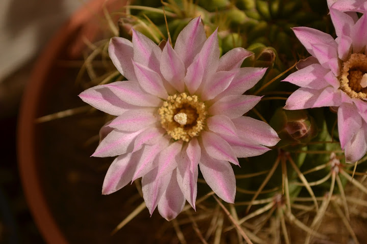 DSC_0271.JPG