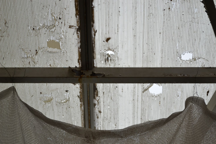 DSC_0282.JPG