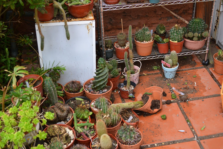 DSC_0292.JPG