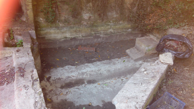 DSC_0293.JPG
