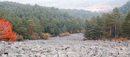 DSC_0304.jpg