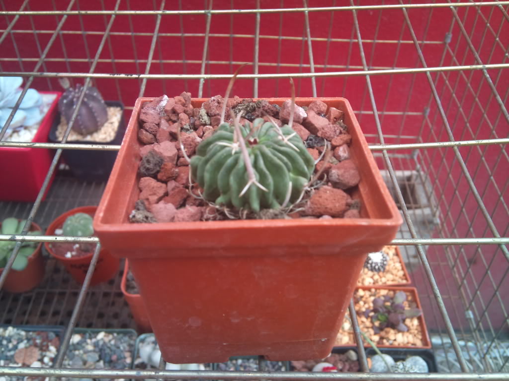 DSC_0313.jpg