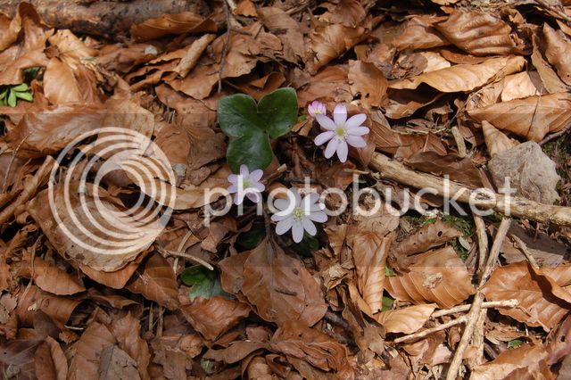 DSC_0318.jpg