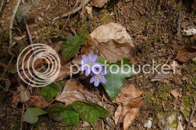 DSC_0319.jpg
