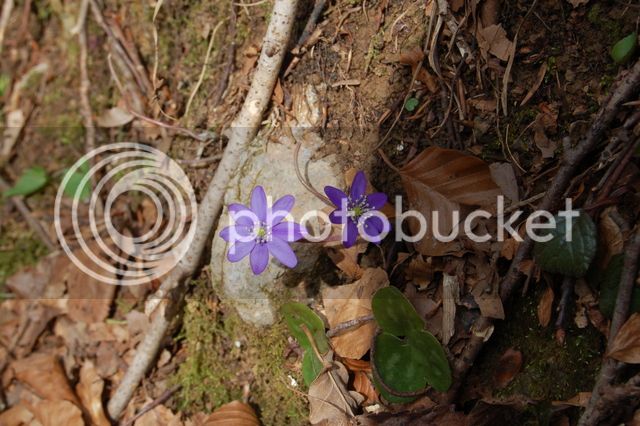 DSC_0320.jpg