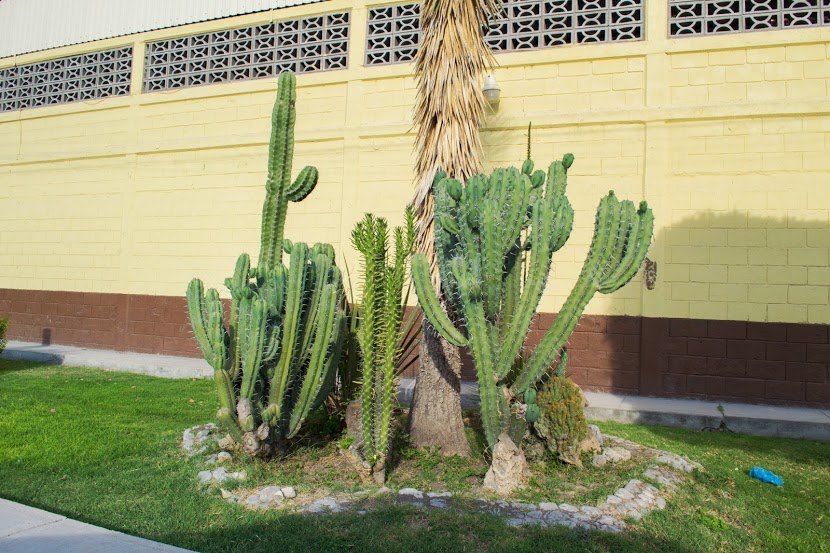 DSC_0359.jpg
